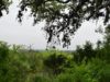12-hill-country-view