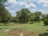 backyard-2