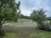 backyard-2